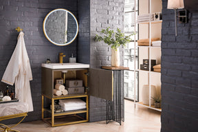 24" Columbia Single Sink Bathroom Vanity, Ash Gray, Radiant Gold w/ Top