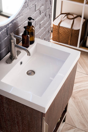 24" Columbia Single Sink Bathroom Vanity, Coffee Oak, Brushed Nickel w/ Top
