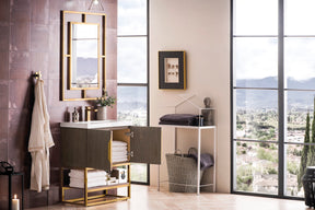 31.5" Columbia Single Sink Bathroom Vanity, Ash Gray & Radiant Gold