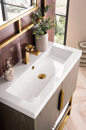 31.5" Columbia Single Sink Bathroom Vanity, Ash Gray & Radiant Gold