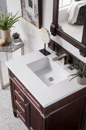 30" Brittany Single Sink Bathroom Vanity, Burnished Mahogany