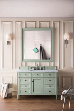 48" Brittany Single Bathroom Vanity, Sage Green